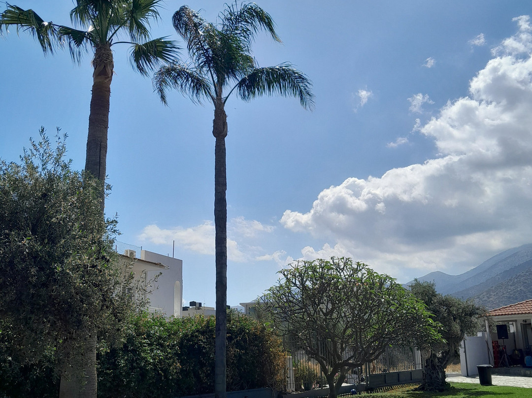 Ibiscus Hotel Malia主图