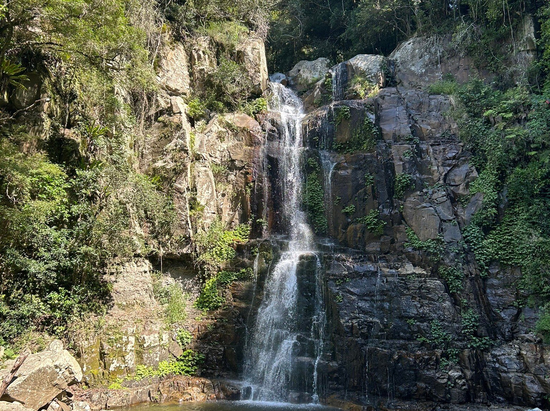 Minnamurra Falls-Jamberoo必去景点