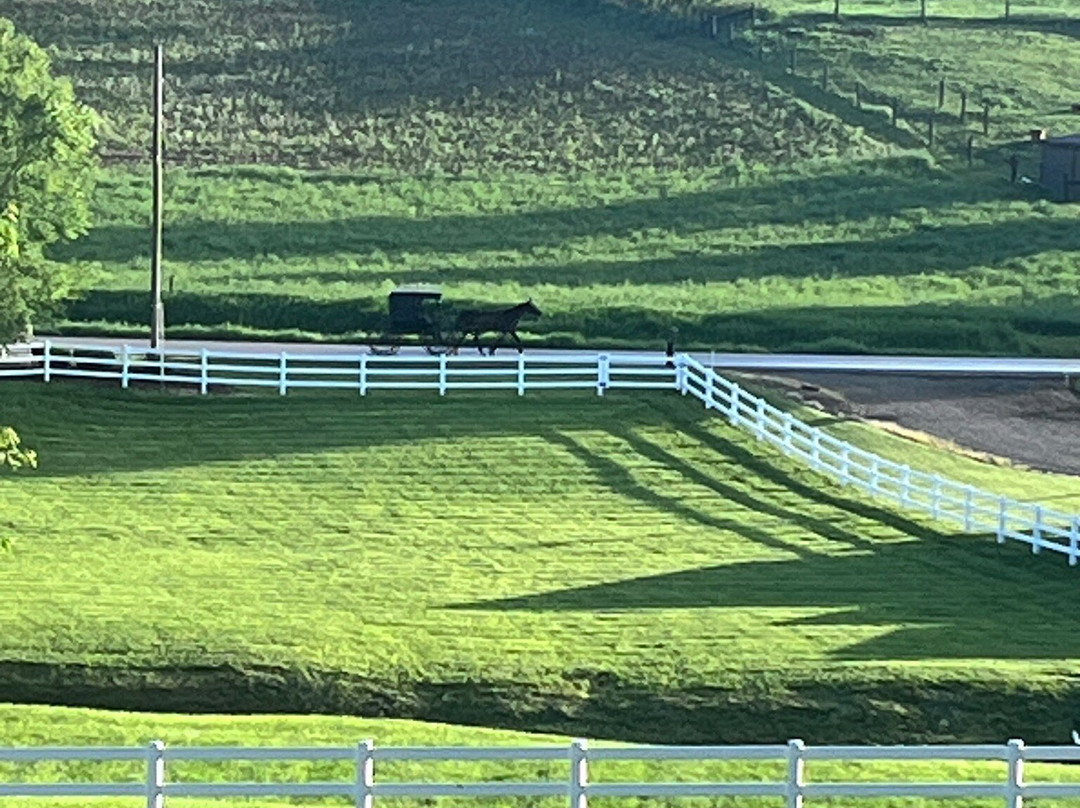 Charm CountryView Inn主图