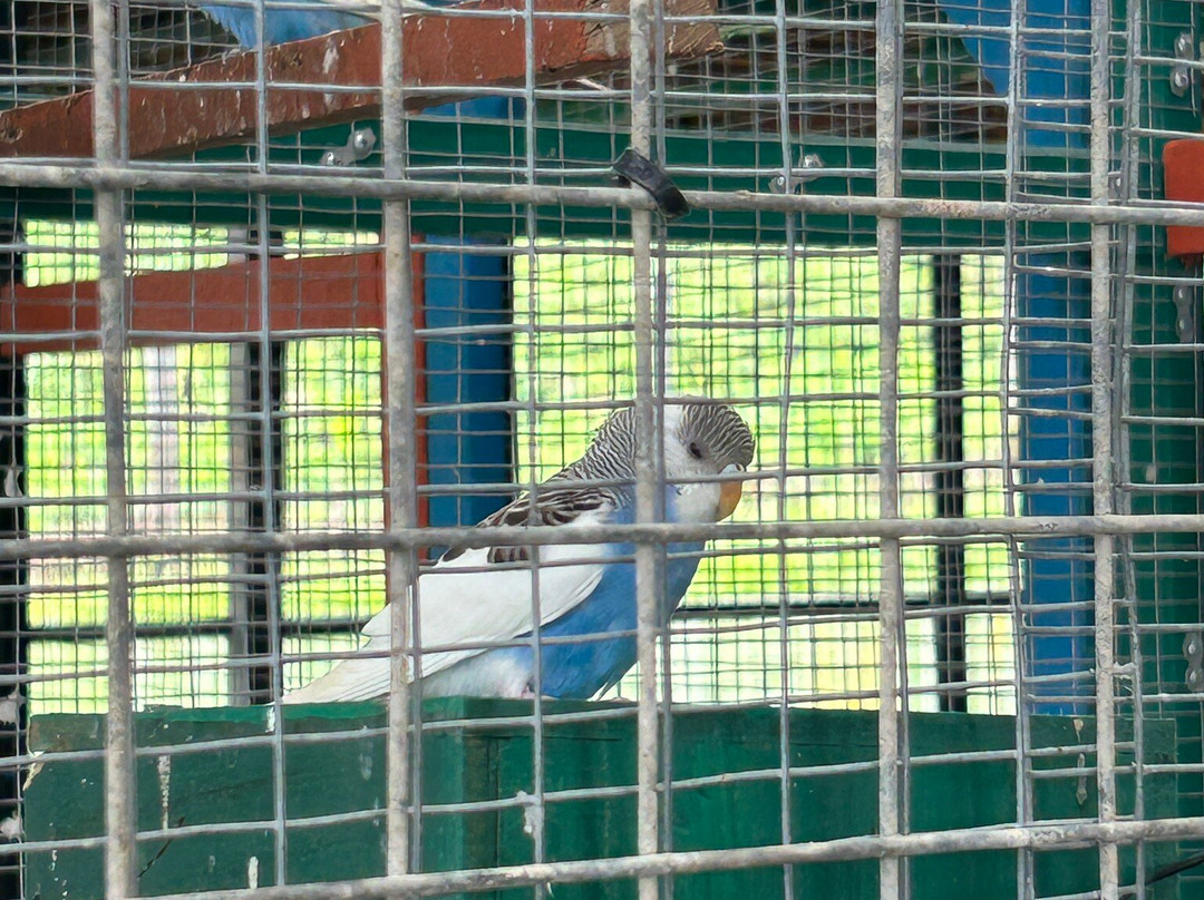 Desaru Fruit Farm-哥打丁宜必去景点