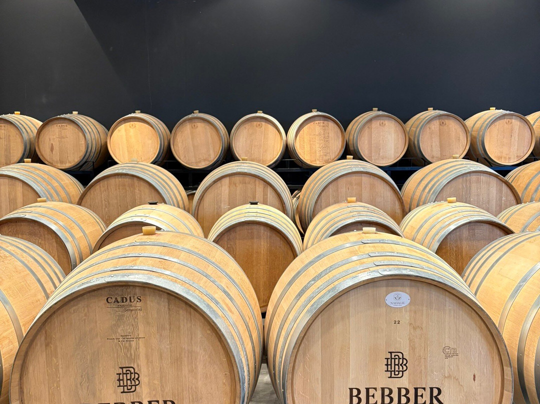 Vinícola Bebber景点图片