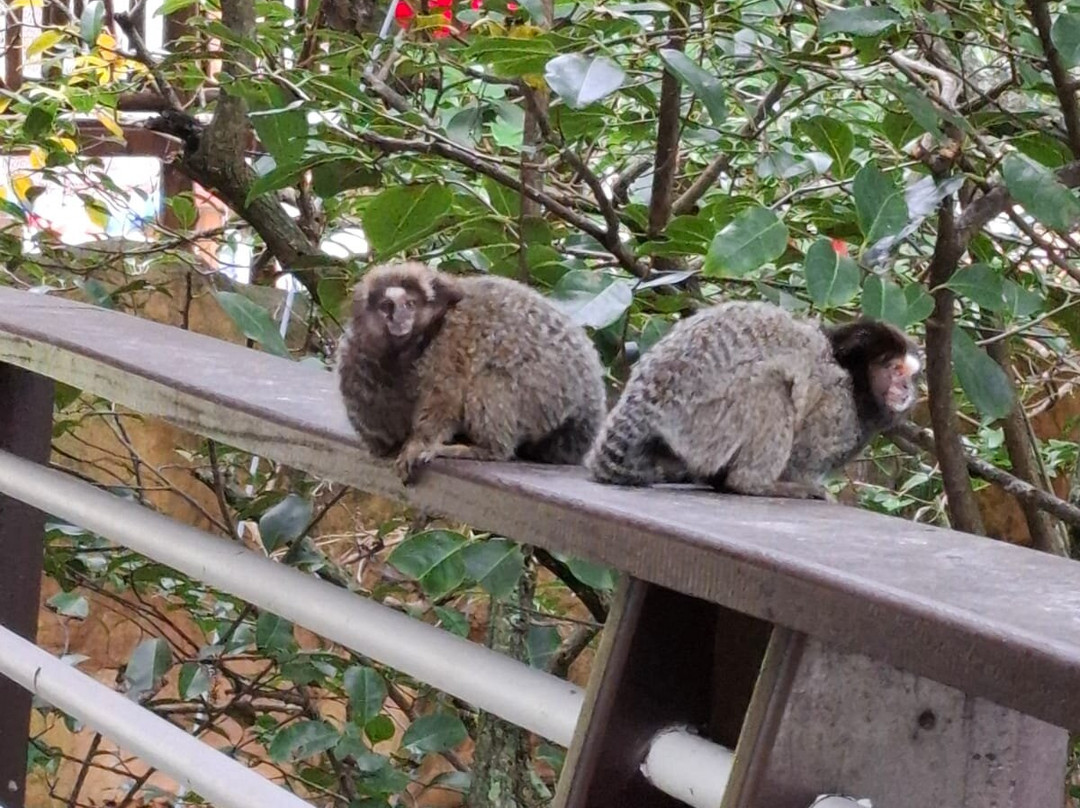 Costao Do Santinho主图