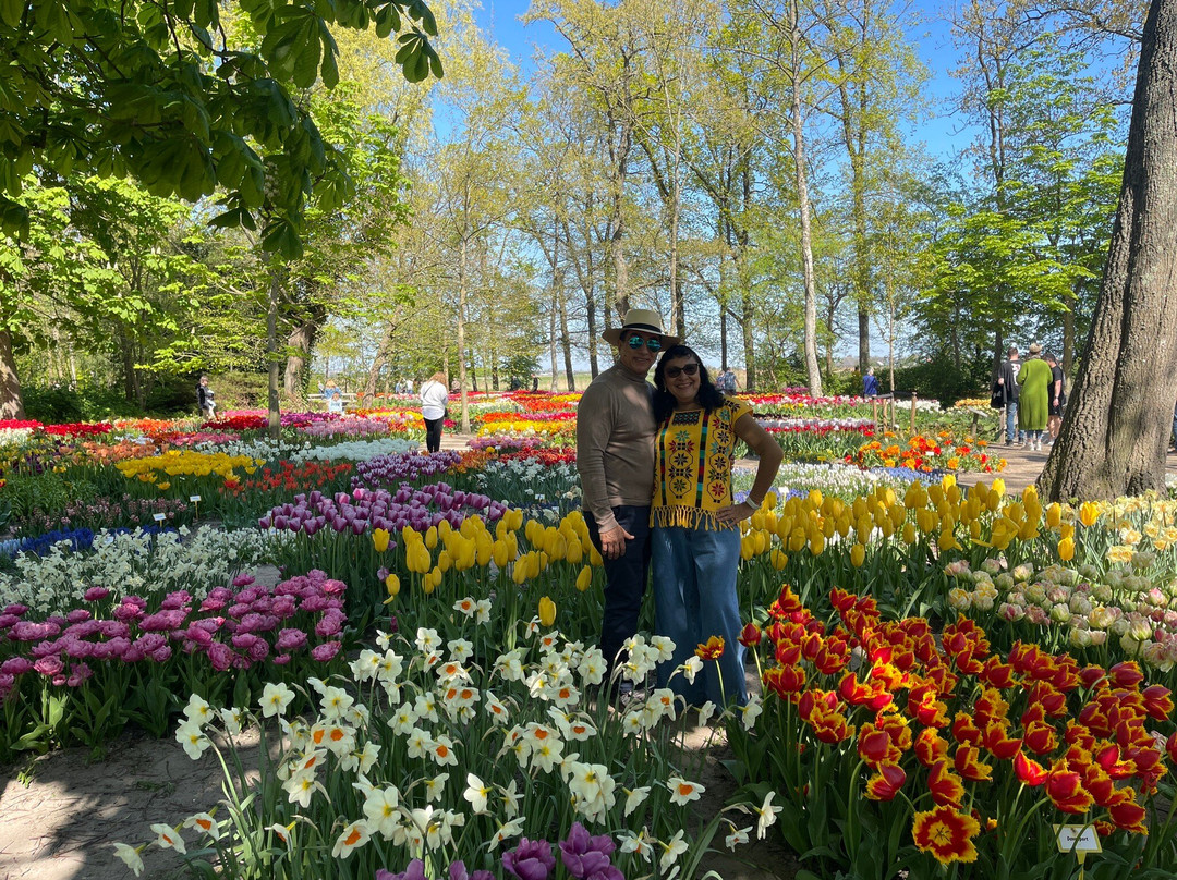 Poldertuin景点图片