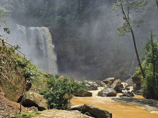 ATV Monkey Ride-主日镇必去景点
