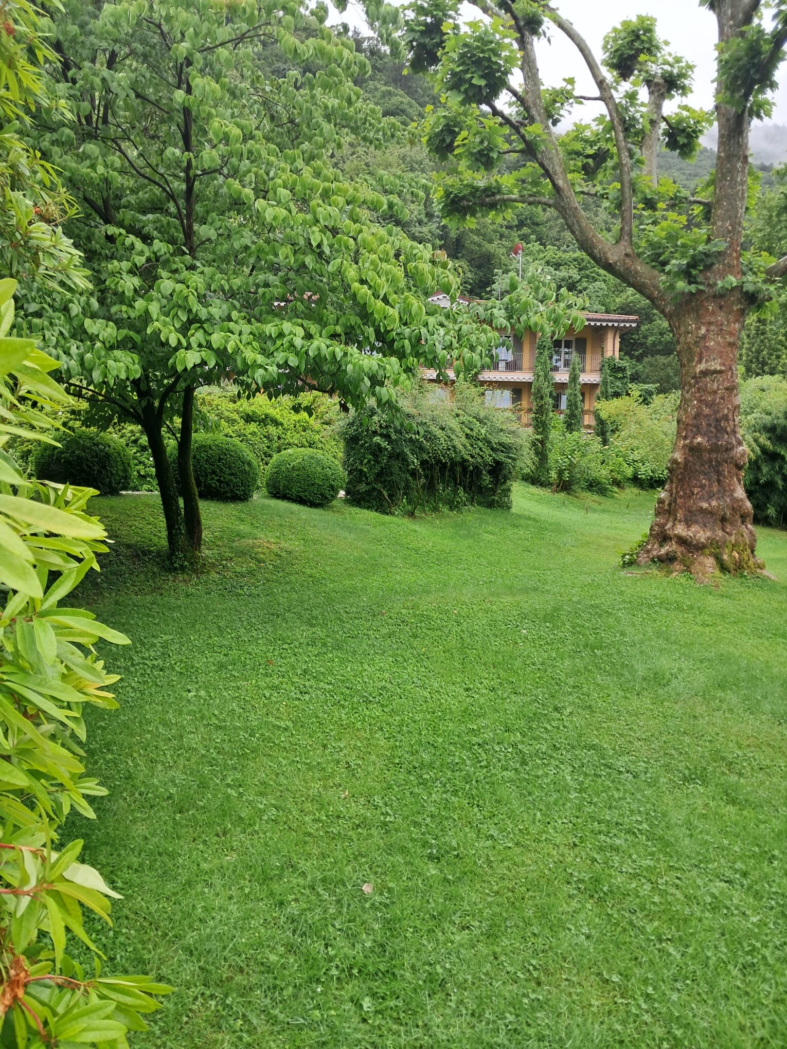 Park Hotel Villa Belvedere-官方
