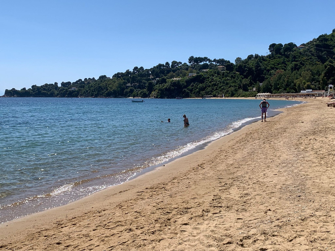 Elizabeth Studios主图