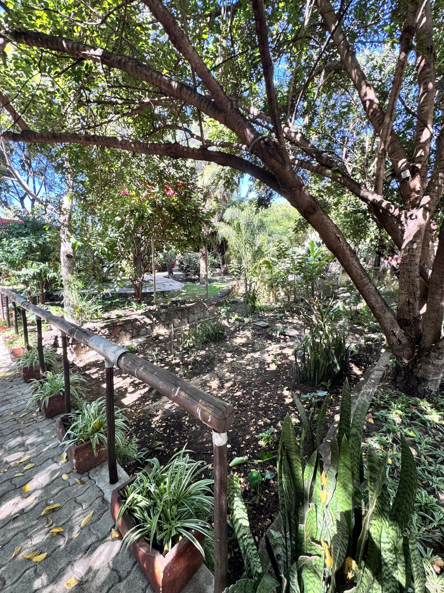 Casper Resort-官方