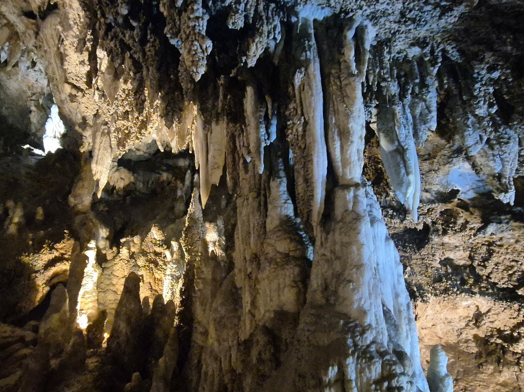 Grotta Antro del Corchia景点图片