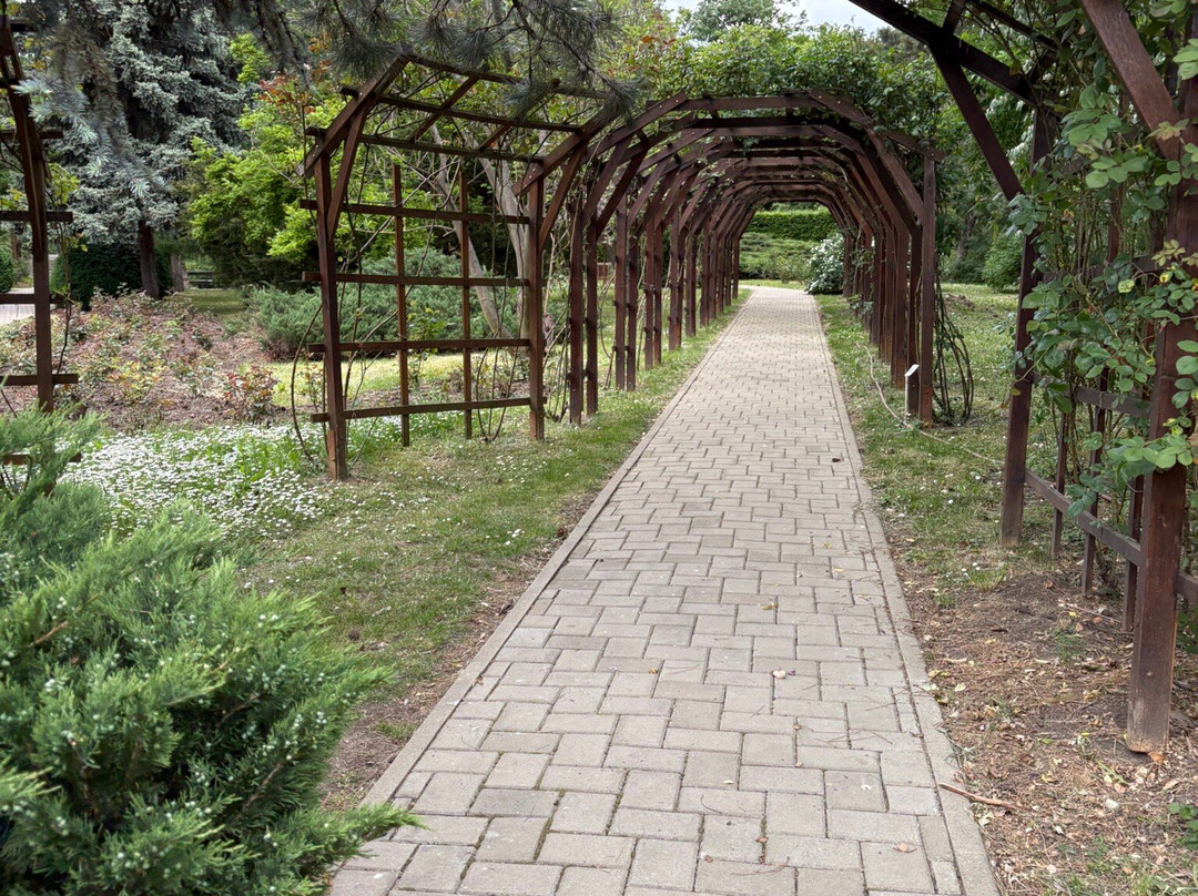 Botanic Garden Anastasie Fătu (Grădina Botanică Anastasie Fătu)景点图片
