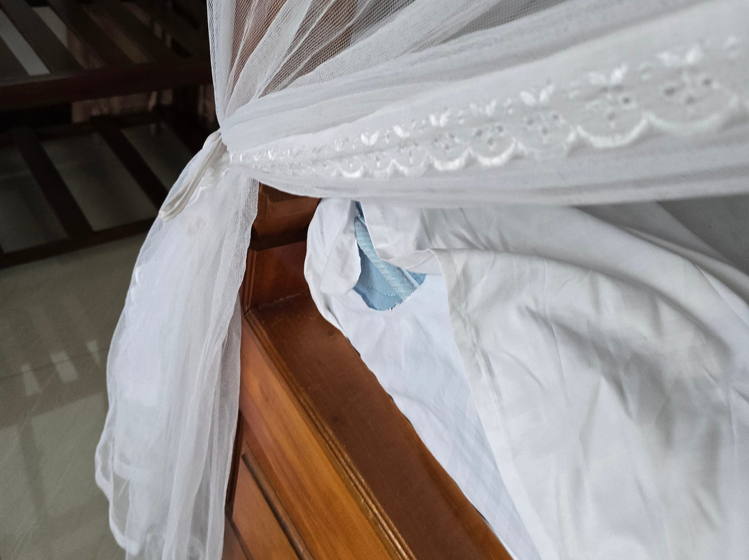 Lilly Guest Inn主图