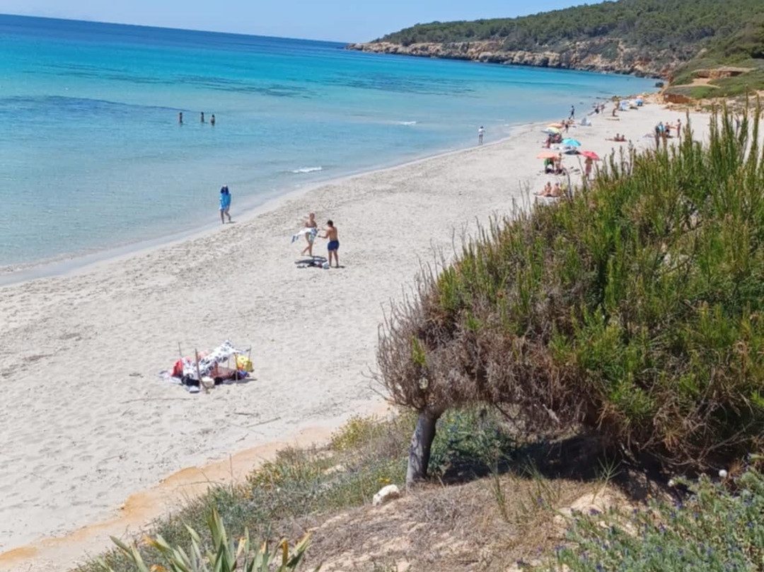 Playa De Binigaus-Migjorn Gran必去景点