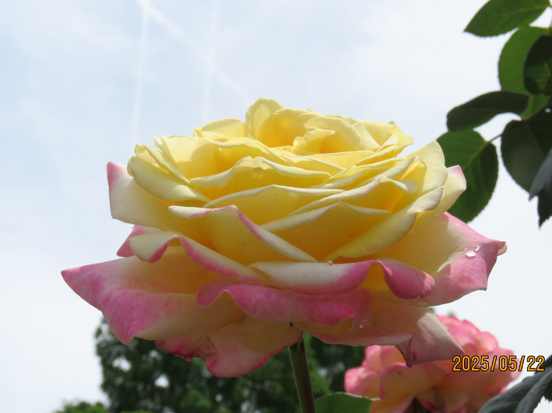 Biwako Otsukan-大津市必去景点