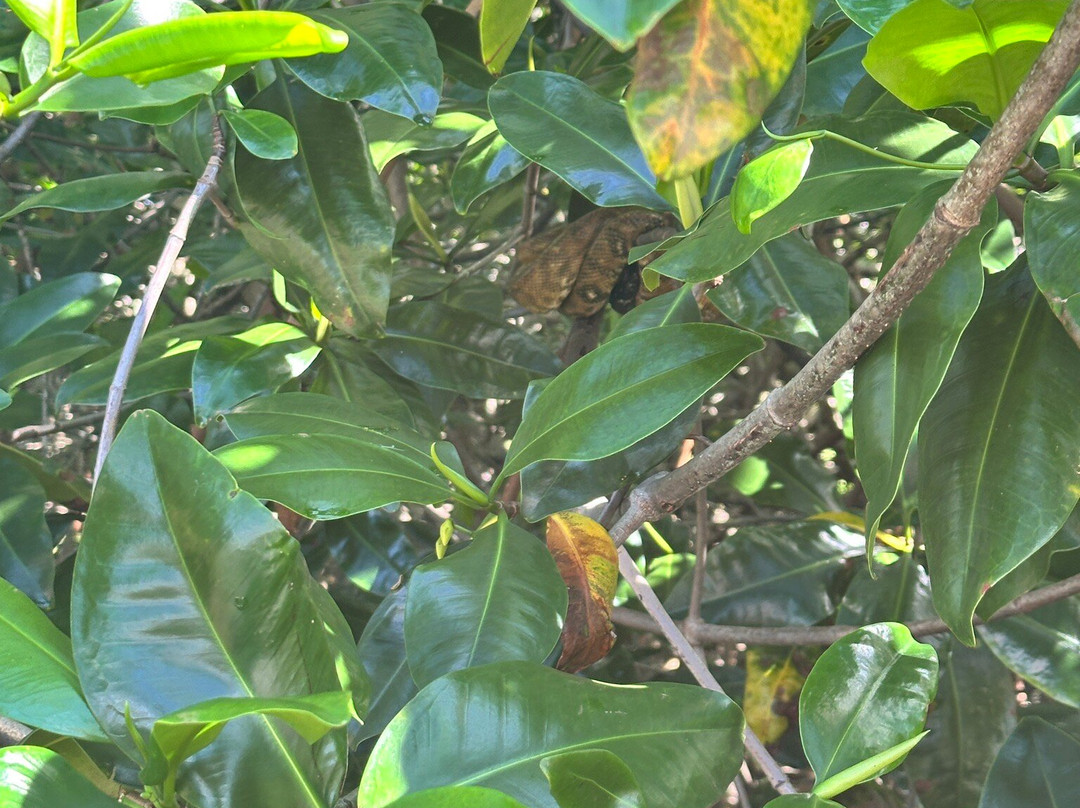 Kokopelli Wildlife Tours景点图片