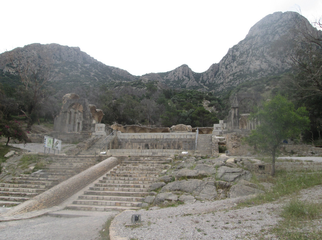 Carthage  Aqueduct-迦太基必去景点