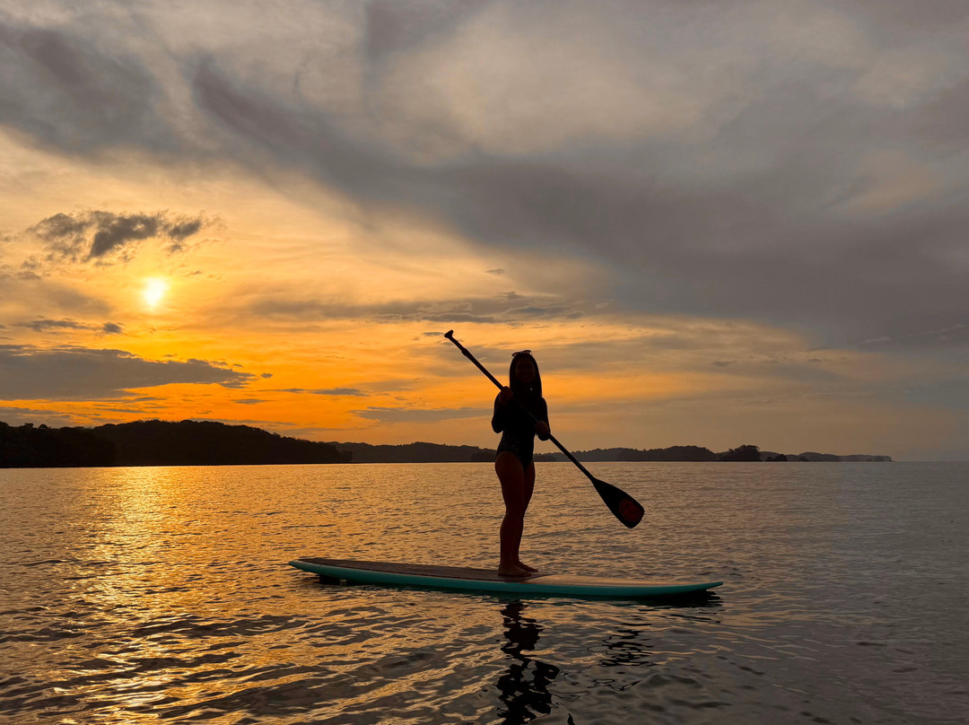 Selva Terra Island Resort主图