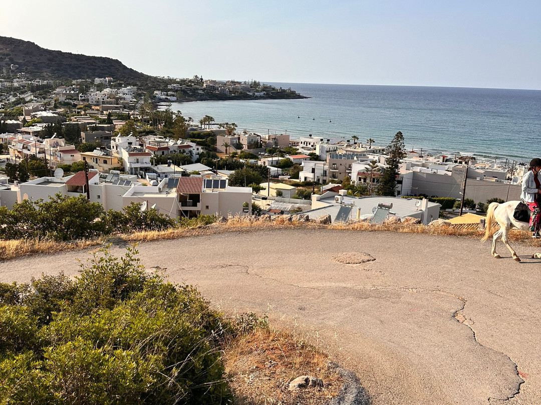 Amarillis Stable-Mochos必去景点