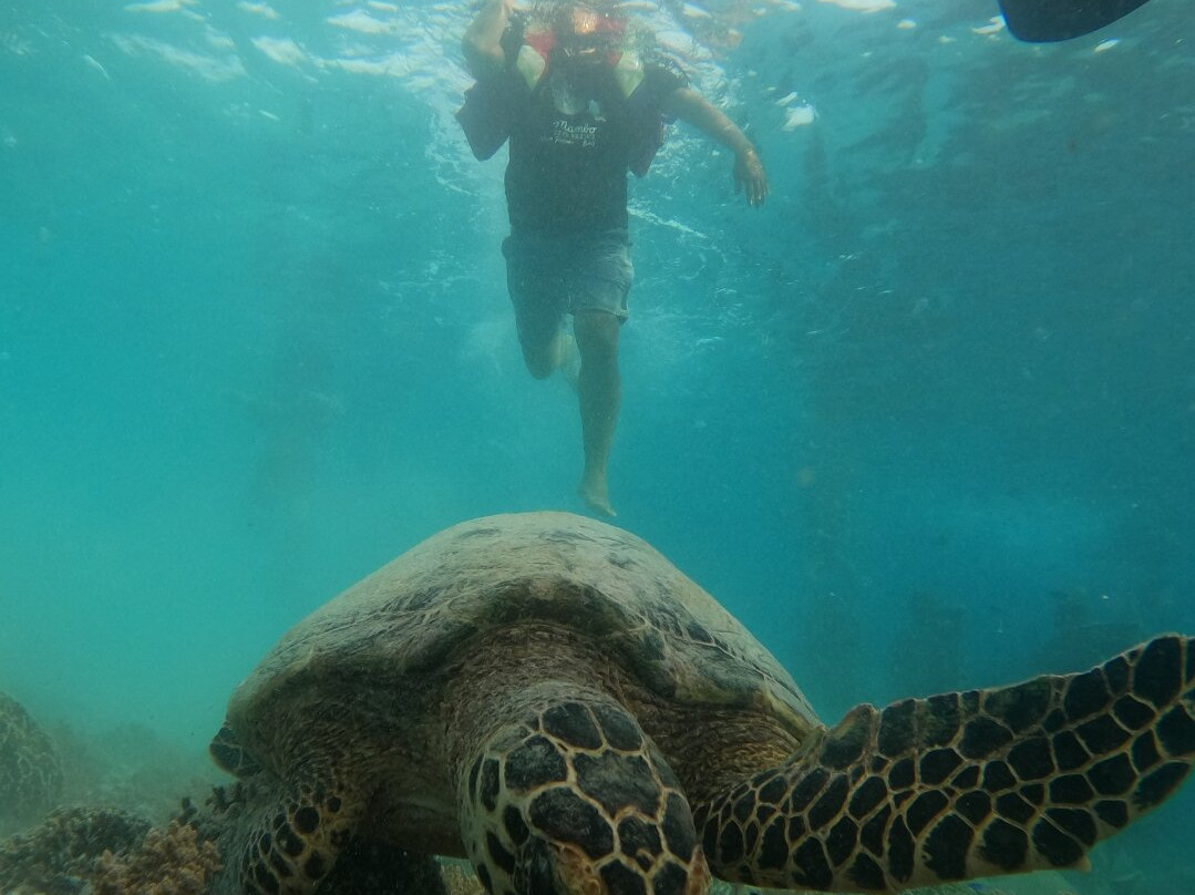 3Q CLOUD TRIP-珀尼达岛必去景点