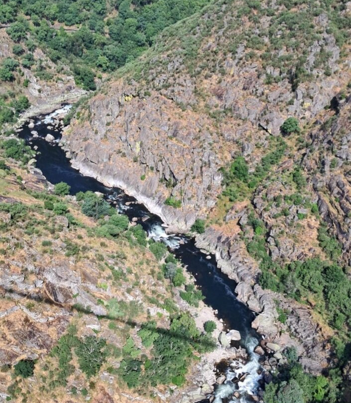 516 Arouca - Ponte Suspensa景点图片
