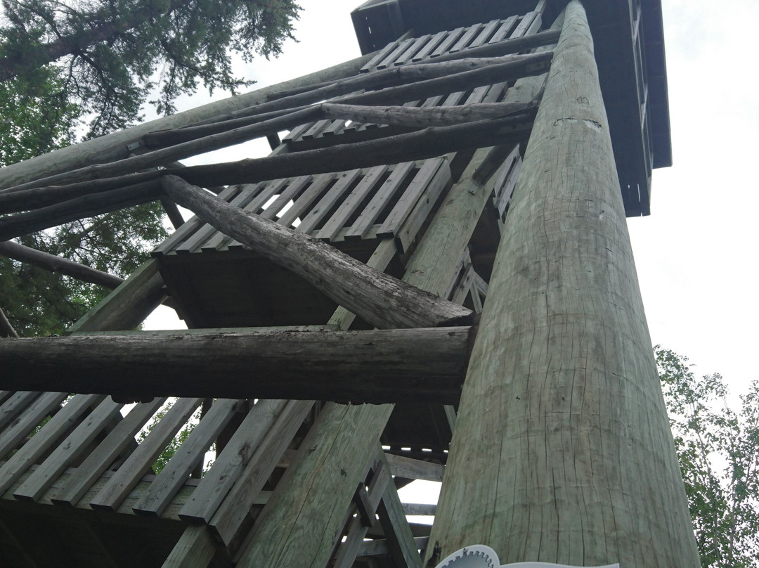 Moulin des Pionniers景点图片