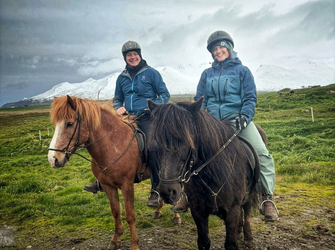 Langhús Farm-Skagafjordur必去景点