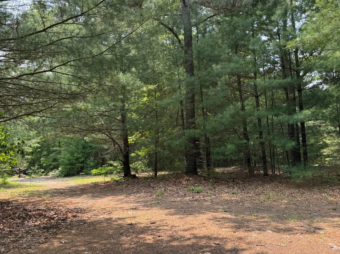 Freetown-Fall River State Forest-Assonet必去景点