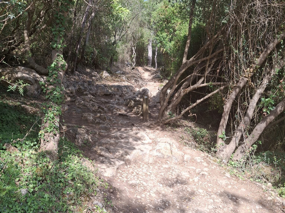 Platja de Sant Tomas-Santo Tomas必去景点