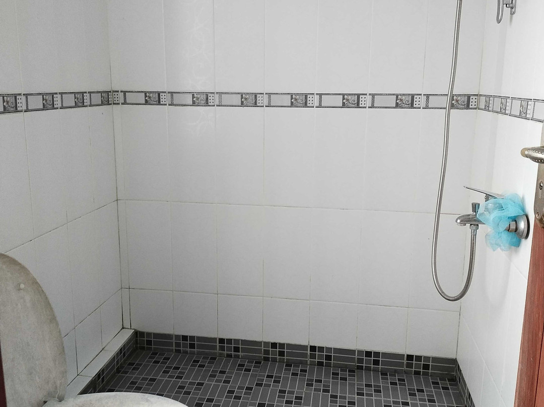 Wildan Homestay主图