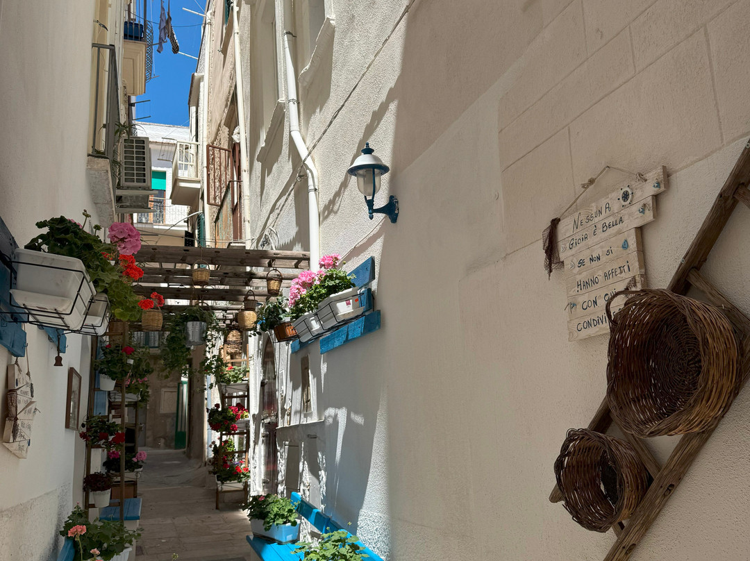 Borgo Antico Di Vieste-维耶斯泰必去景点