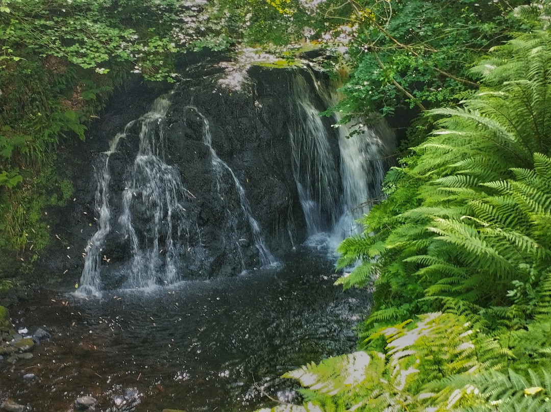 Glenariff Forest Park-County Antrim必去景点