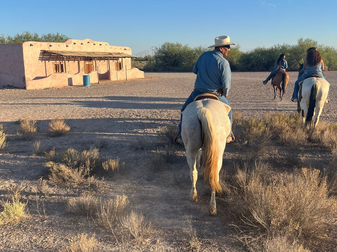 KOLI Equestrian Center-钱德勒必去景点