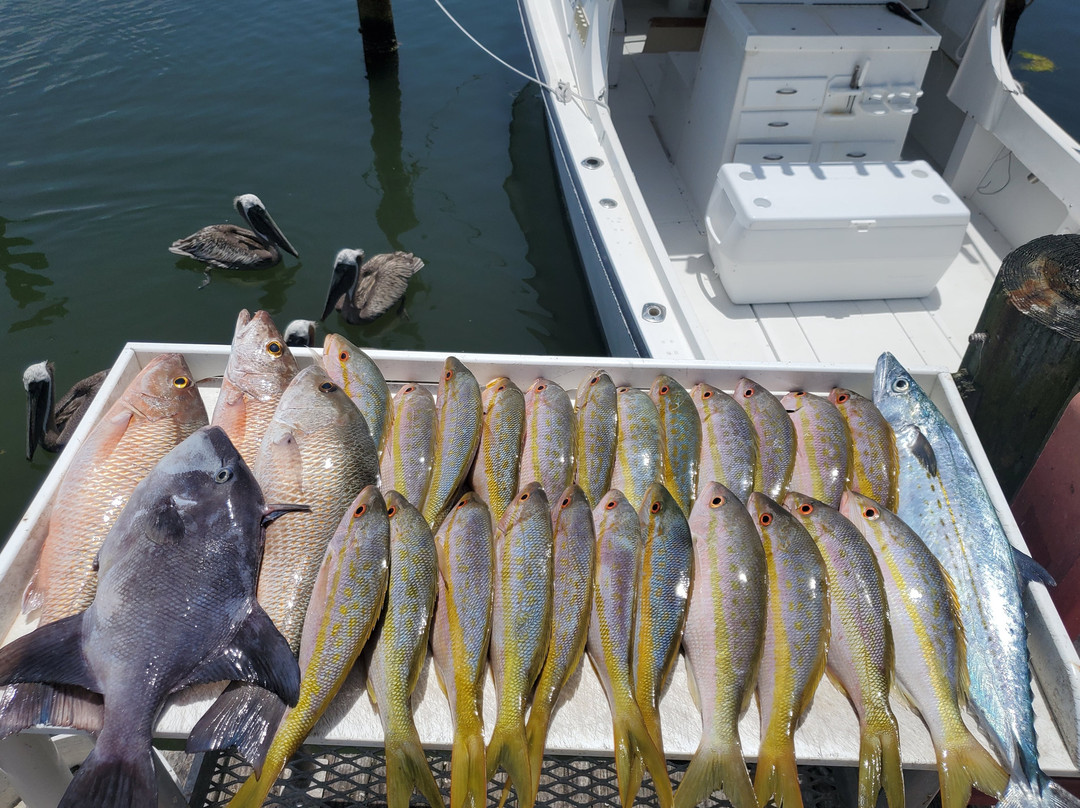 Marathon Fishing Kings-马拉松必去景点
