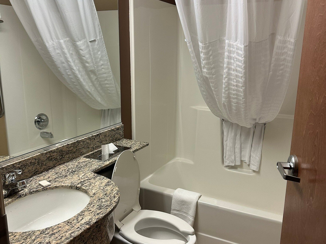 Microtel Inn & Suites by Wyndham Marietta主图