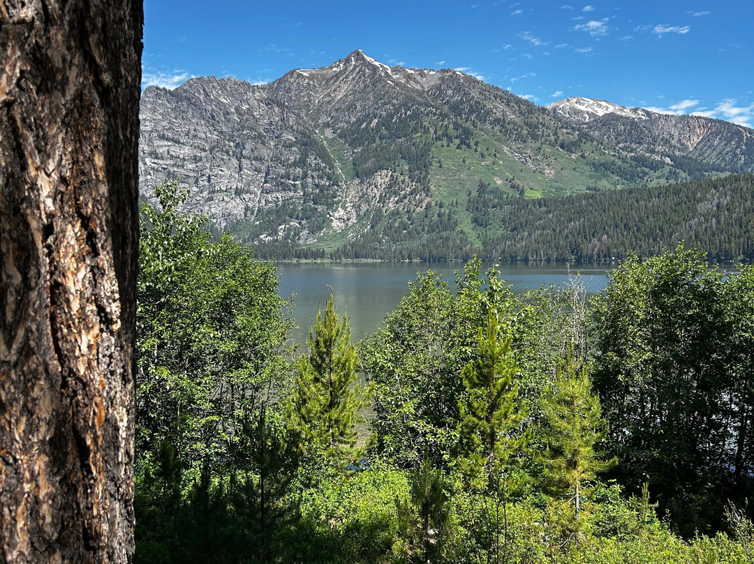 Laurance Rockefeller Preserve-杰克逊必去景点