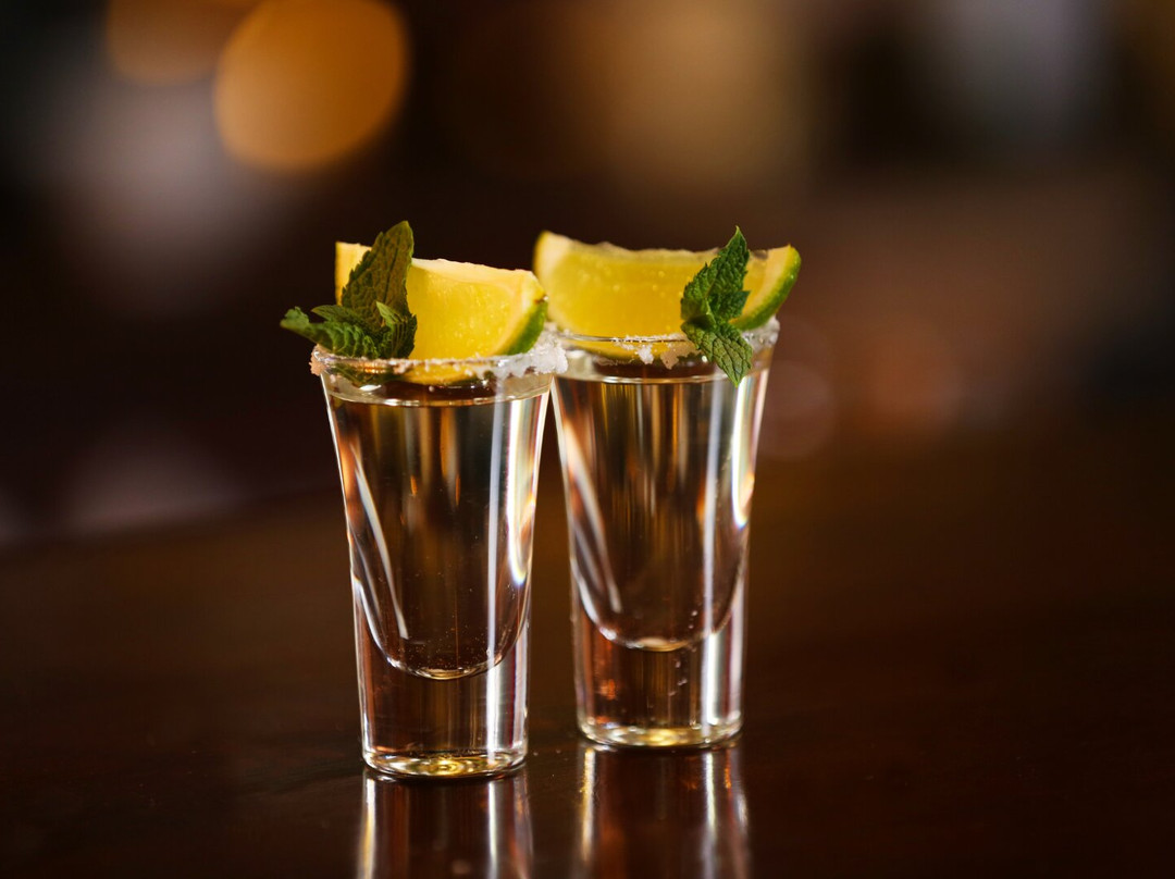 Stelaris Bar - Hacienda Galindo