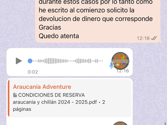 Araucanía Adventure-特木科必去景点