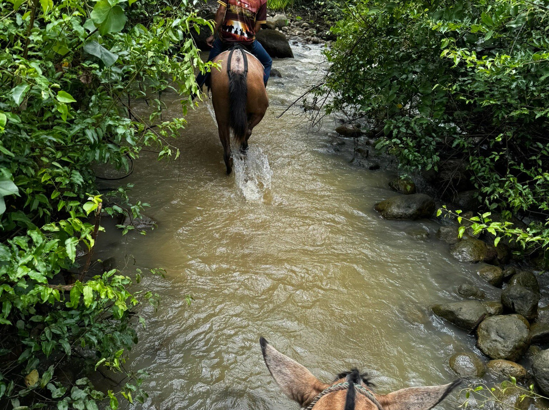 Rancho La Merced National Wildlife Refuge-乌维塔必去景点