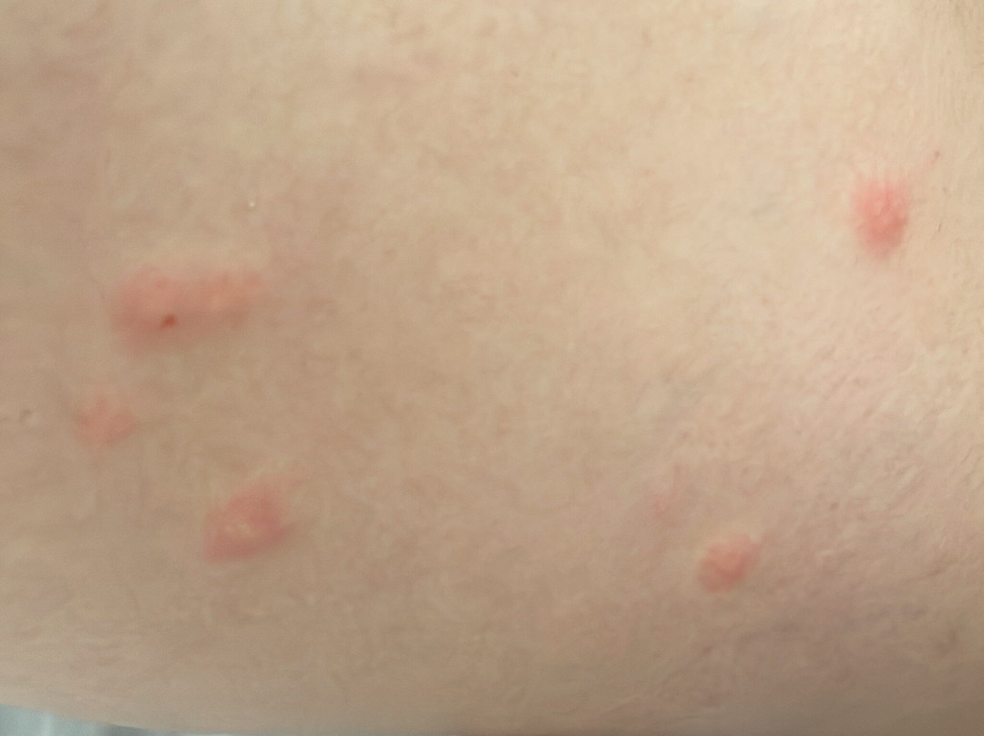 波尔图点青年旅馆主图