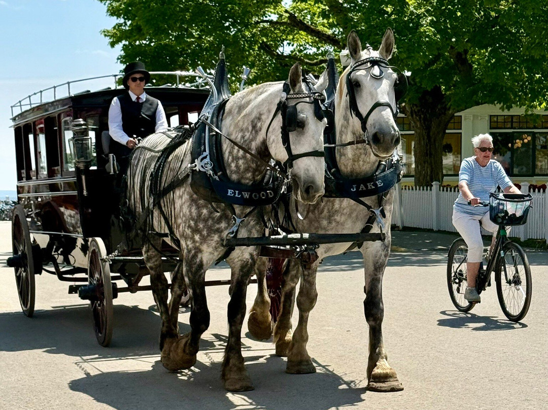 Harbour View inn主图