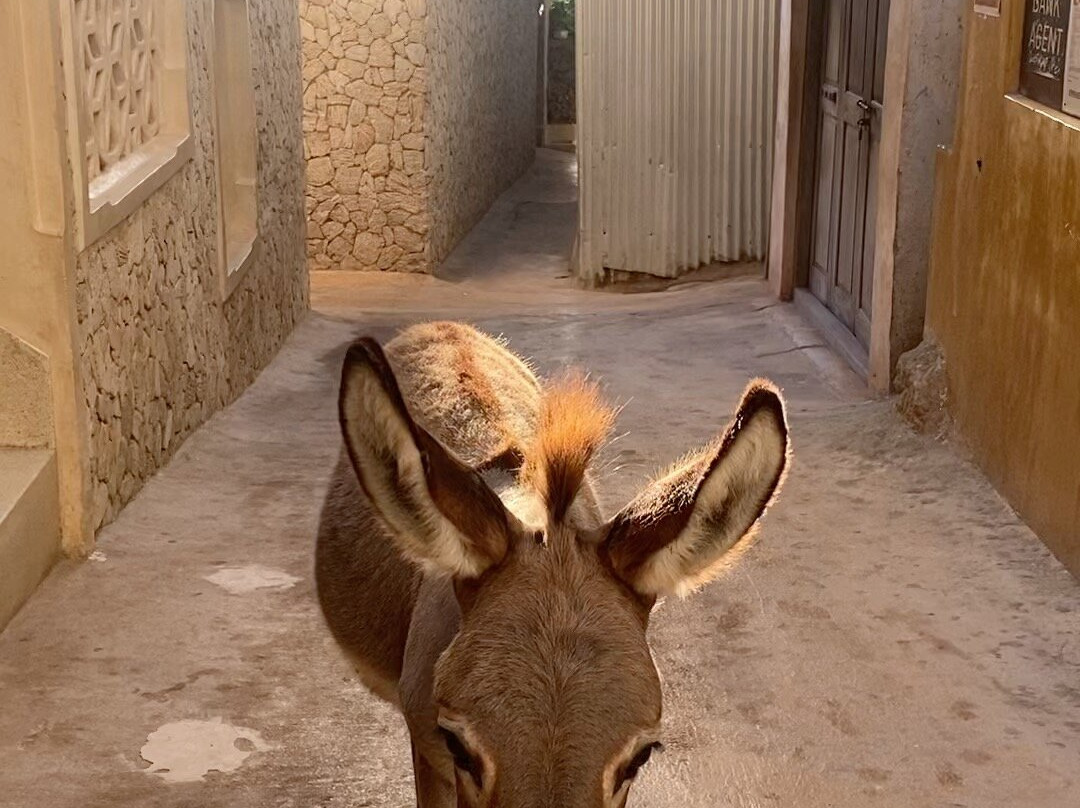 Swahili Woodcarving Art-Lamu必去景点