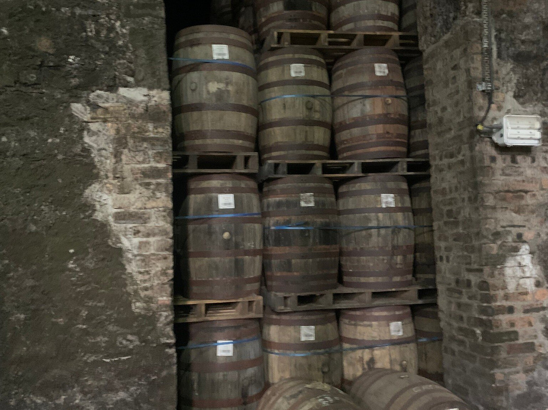 Glen Scotia Distillery-Campbeltown必去景点