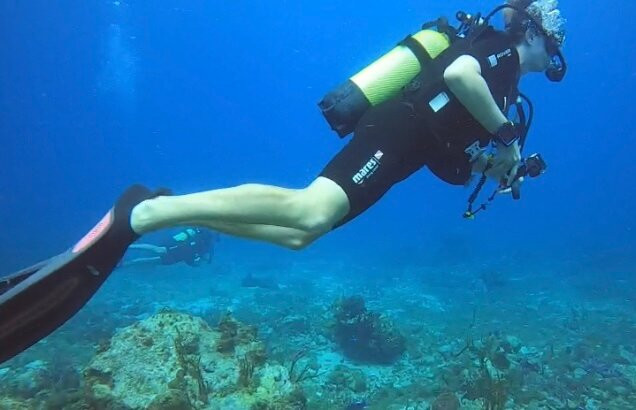 Serial Divers-居斯塔维亚必去景点