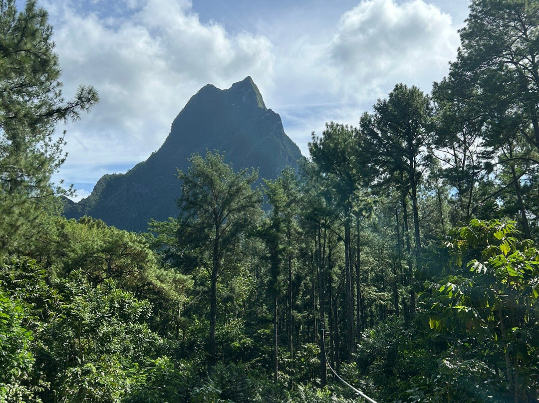 Tiki Parc Moorea-莫雷阿岛必去景点