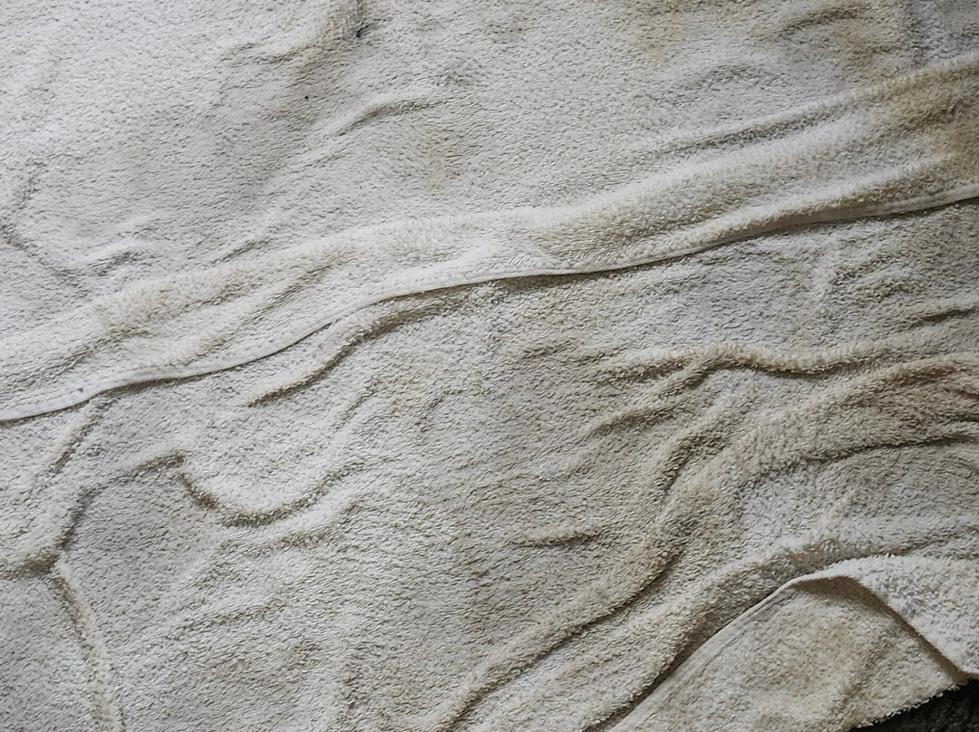 Baymont by Wyndham Belleville Airport Area主图