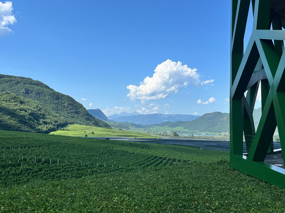 Cantina Tramin-Termeno必去景点