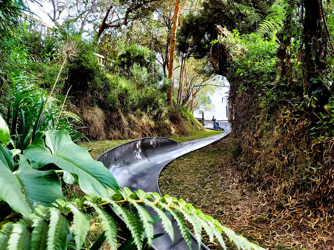 Parc de la Luge-圣保罗必去景点