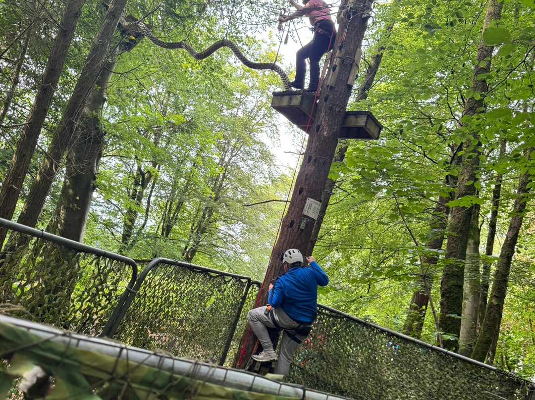 Craufurdland Tree Top Trials and Activities-Kilmarnock必去景点