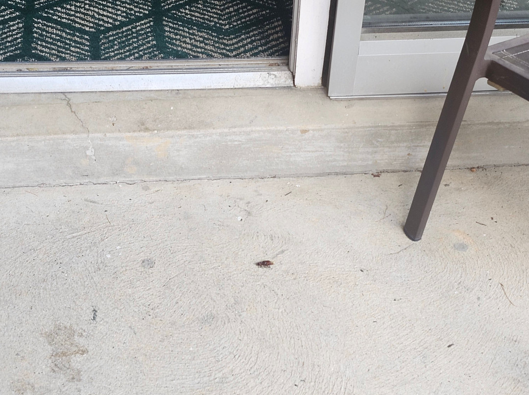 俄亥俄大学旅馆及会议中心主图