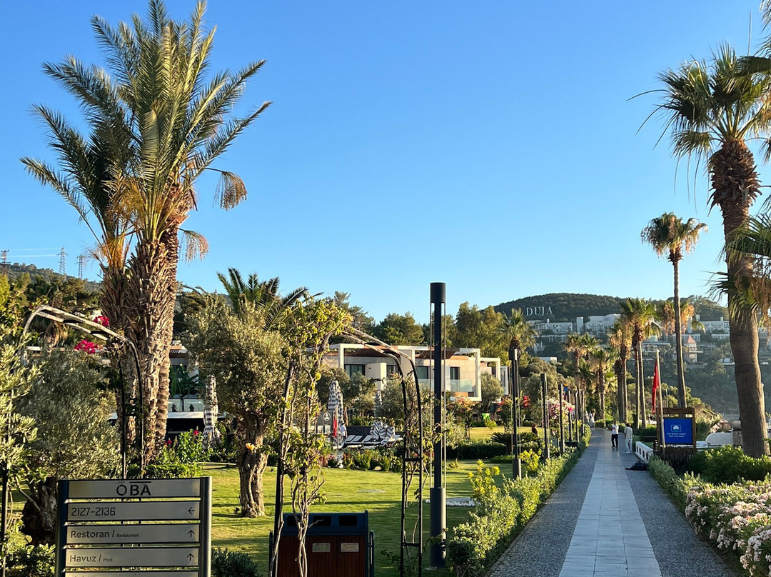The Oba Hotel Torba主图