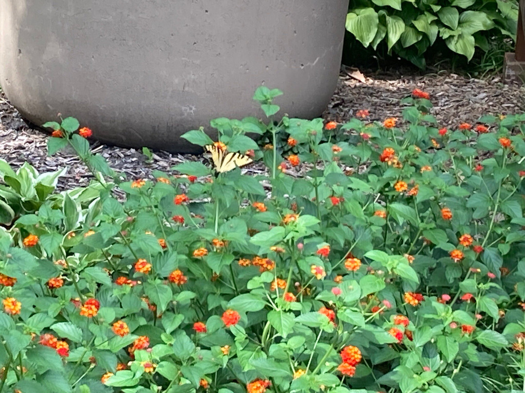 Ward-Meade Park-托皮卡必去景点