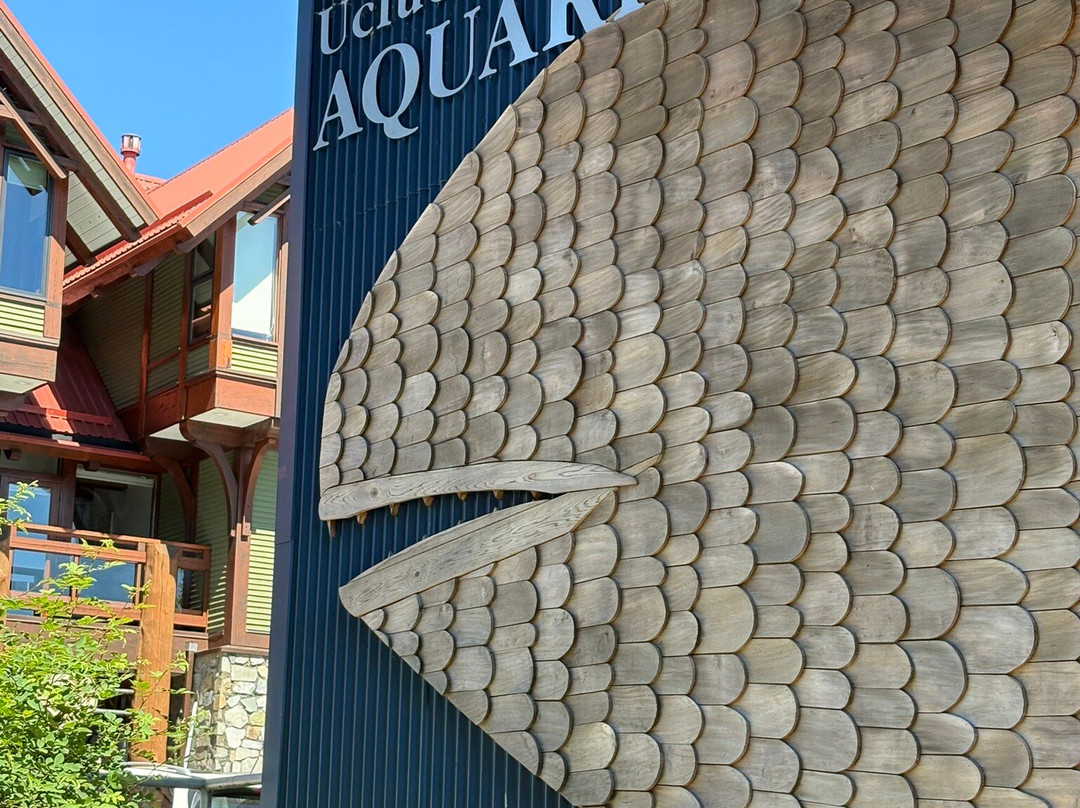 Ucluelet Aquarium-尤克卢利特必去景点